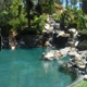 Pacific Paradise Pools & Spas