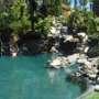 Pacific Paradise Pools & Spas