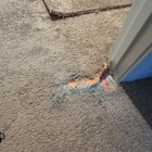 Compass Carpet Repair & Cleaning