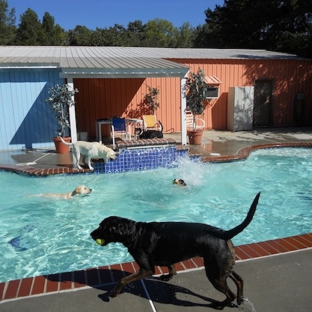 Pet Lodge Pet Resort - Alpharetta, GA