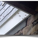 Bee Removal Huckle Bee Farms - Bee Control & Removal Service