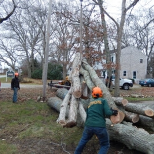 Forest Keepers Tree Care - Lawrence, KS