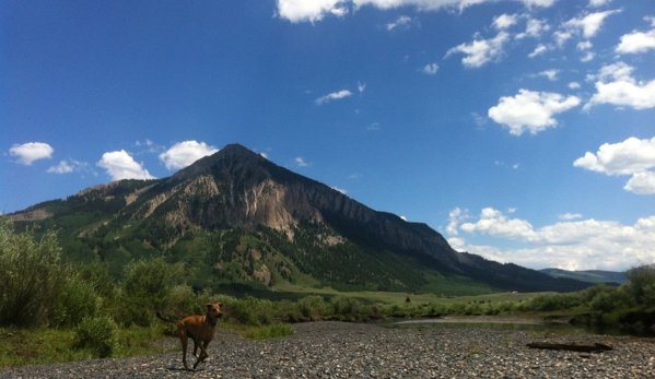 Pawsitively Native -Gunnison - Gunnison, CO