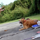 ABC Dogs,   Ann Becnel Companion Dogs, Inc - Pet Training