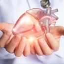 Naples Heart Rhythm Specialists, P.A. - Physicians & Surgeons, Cardiology