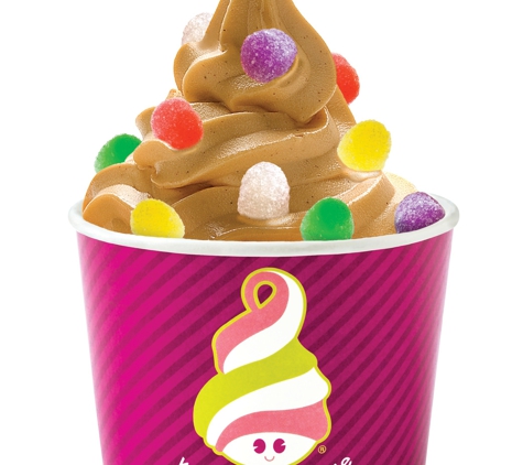 Menchie's Frozen Yogurt - Saint Petersburg, FL