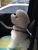 Glamour Dogs Salon - Pet Services