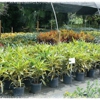 Creek Nursery gallery