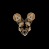 Inkentshane K9 gallery