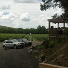 Nolichucky Vineyard weddings & Events