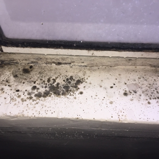 Bye Bye Mold-Toxic Consulting - Woodland Hills, CA