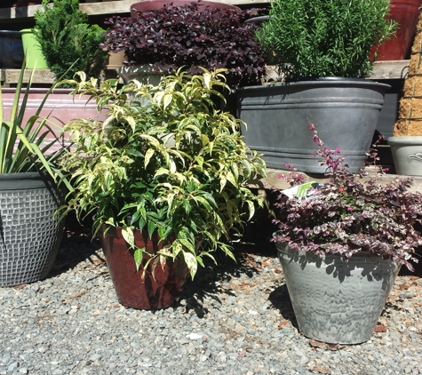 Oakdale Greenhouses, LLC - Charlotte, NC. Plant Containers