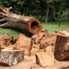 Camarillo Tree Service Pros gallery