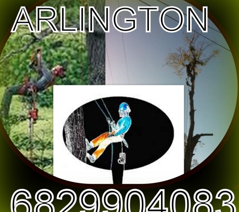 Arlington Tree Services by Tree Eagles - Arlington, TX