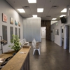 Vertical Chiropractic gallery