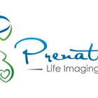 Prenatal Life Imaging