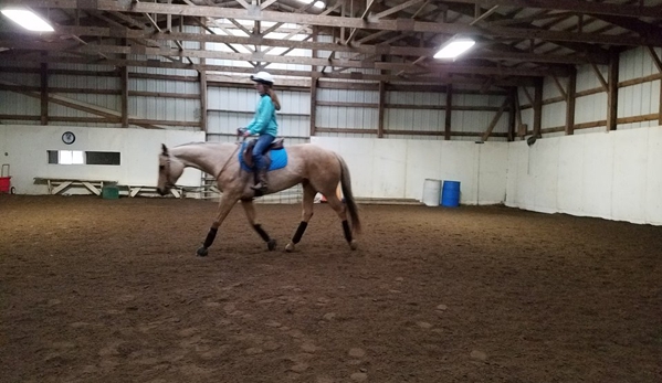 Kaizen Horse Training and Lessons - Monroe, MI