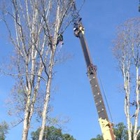 Exceed Tree Care
