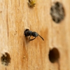 Target Termite Pest Control gallery