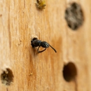 Target Termite Pest Control - Pest Control Equipment & Supplies
