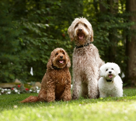 DogWatch of the Twin Cities - Eden Prairie, MN