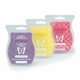 Scentsy Independent Consultant Jodi Palermo-Orland