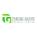 These Guys Lawn Care - Lawn Maintenance