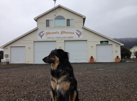 Phoenix Pharms - Gardnerville, NV