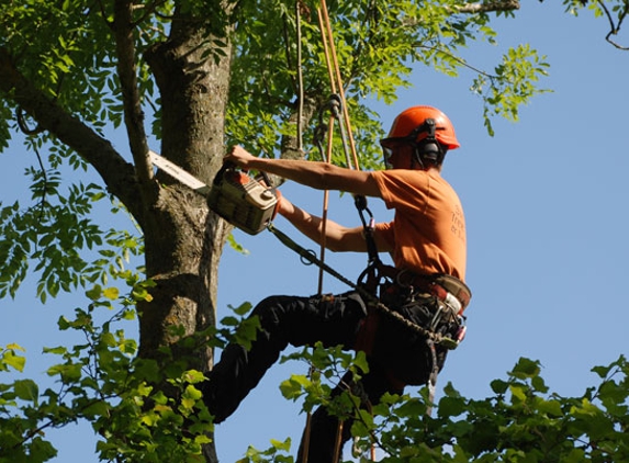 J & S Tree Service - Gallatin, TN