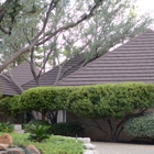 Raintree Roofing Inc