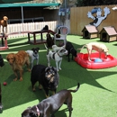 Camp Run-A-Mutt, Sorrento Valley - Dog & Cat Grooming & Supplies
