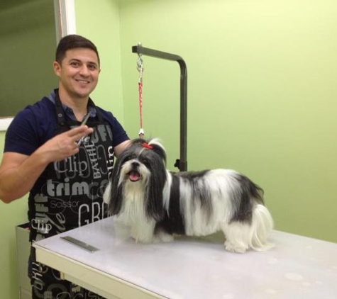 Michelle's Pet Grooming - Fort Lauderdale, FL