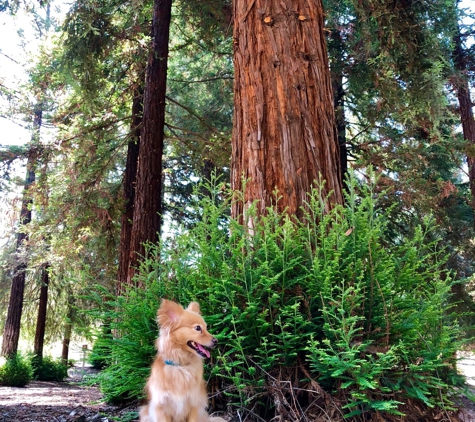 Carbon Canyon Regional Park - Brea, CA