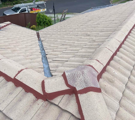 Kiwi Roof Restoration - Smithfield, NSW