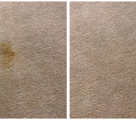 Phoenix Tile & Carpet Cleaning - Phoenix, AZ