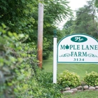 Maple Lane Farm