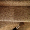Force Carpet Cleaning gallery