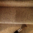 Force Carpet Cleaning
