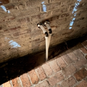 Gallery Image Number 3