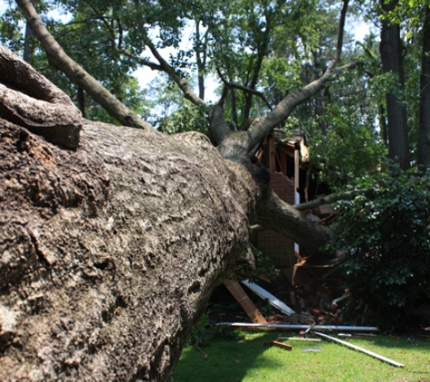 Pioneer Tree Service - West Columbia, SC