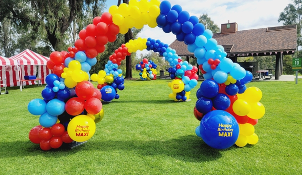 Balloonzilla - Irvine, CA. Choose Your Own Colors Collection Organic Arch