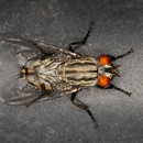 Affordable Termite Control - Pest Control Equipment & Supplies