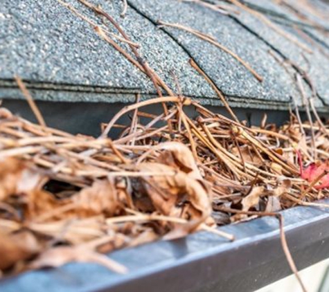 APS Window & Gutter Cleaning - Germantown, TN