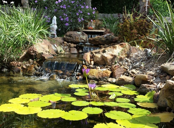 Lynn's Landscaping Inc. - League City, TX