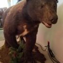 Look-A-Live Taxidermy - Taxidermists