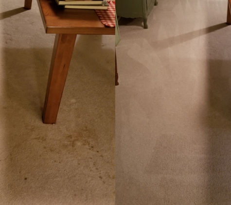 DBS Carpet & Floor Care - Lake Saint Louis, MO