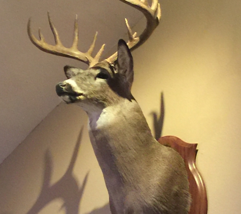 Brian's Taxidermy - Tomball, TX. One of many....