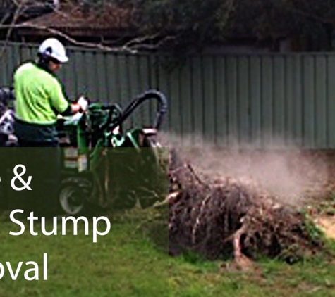 Newcastle Tree Care - Waratah, NSW. Large & Small Stump Removal