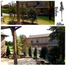 Aynes Enterprises - Lawn Maintenance