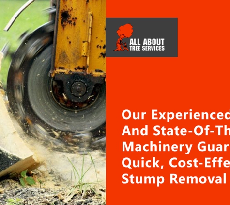 All About Tree Services QLD - Elanora, QLD. Our Experienced Team And State-Of-The-Art Machinery Guarantee Quick, Cost-Effective Stump Removal Service